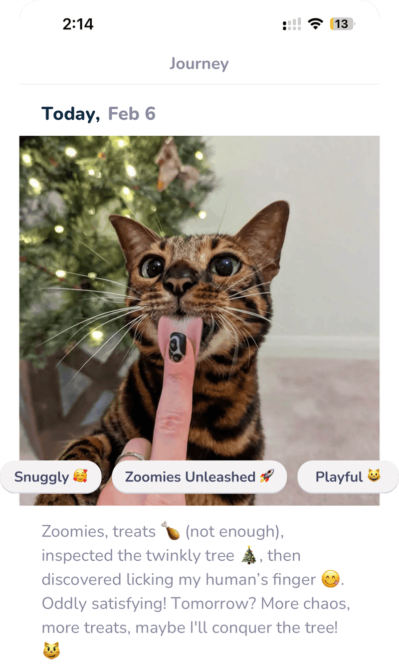 Building a stronger bond with your pet in Lumsters