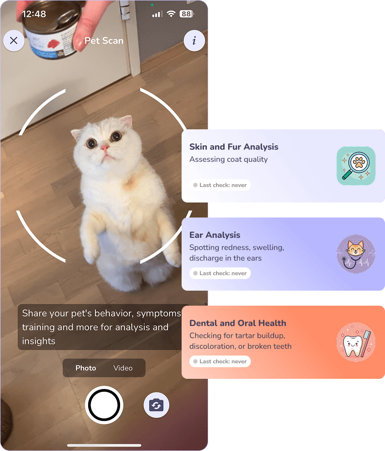 Pet health overview and reports in Lumsters