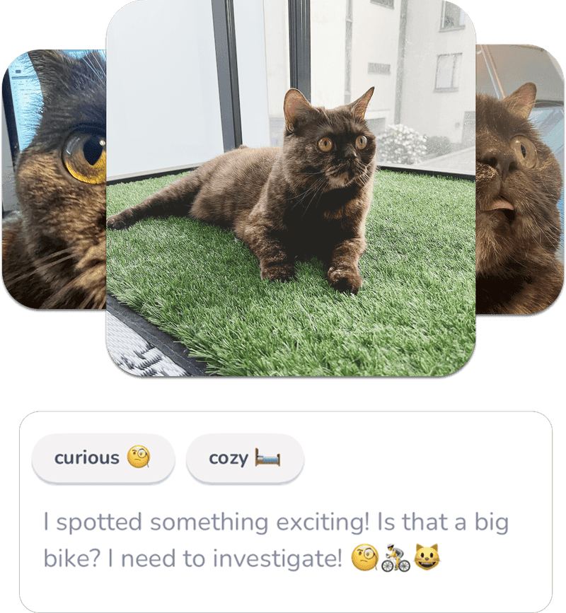 Memories and progress in Lumsters