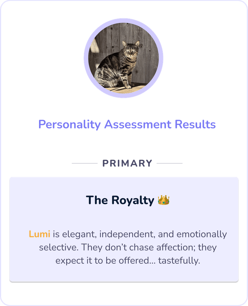 Personality insights in the Lumsters app