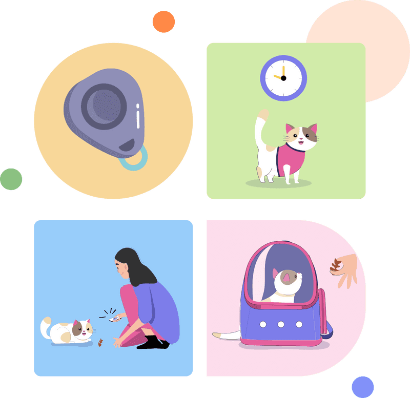 Personalized pet care guides in Lumsters