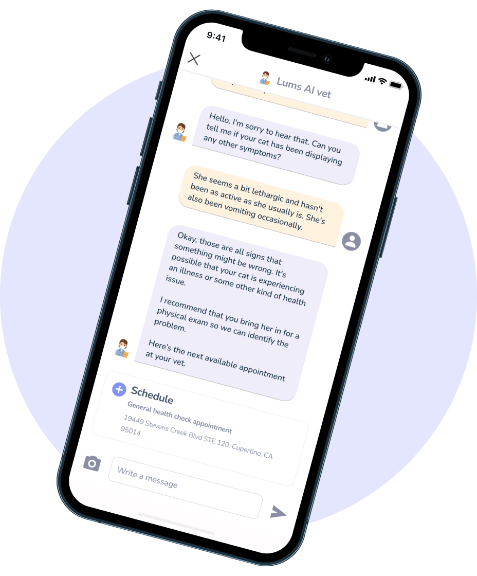AI question and answer in Lumsters