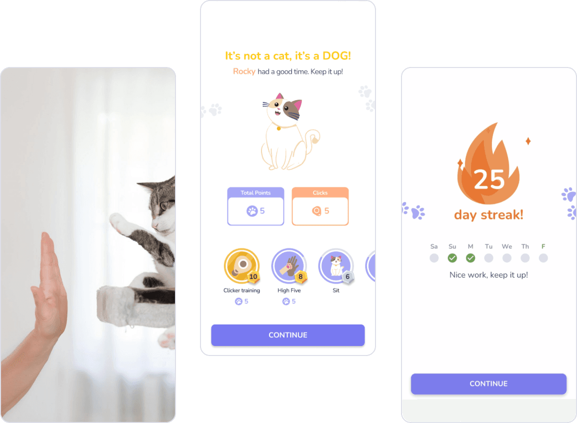 Pet progress, documents, and records in Lumsters